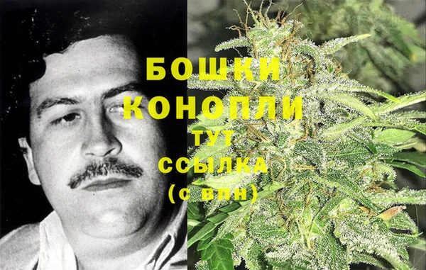 прущие грибы Балабаново