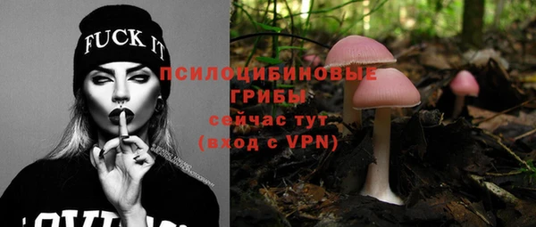 эйфоретик Вязники