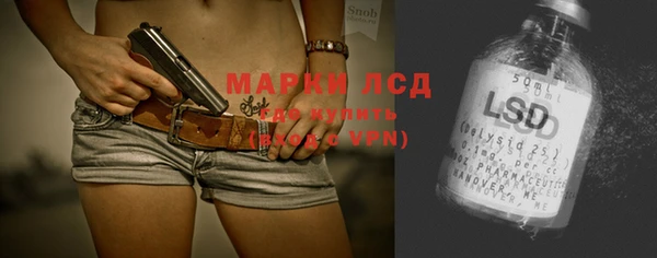 прущие грибы Балабаново