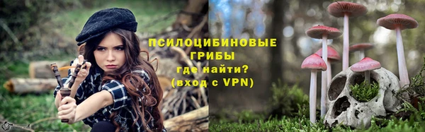гидра Баксан